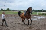 Galopppirouette